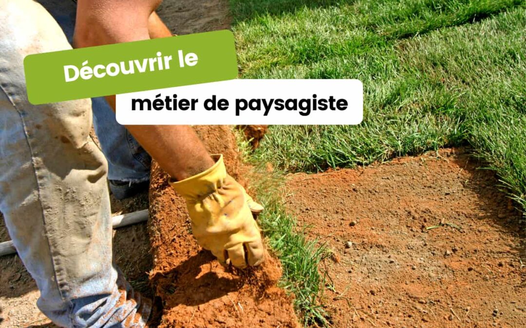 Découvrir le métier de paysagiste