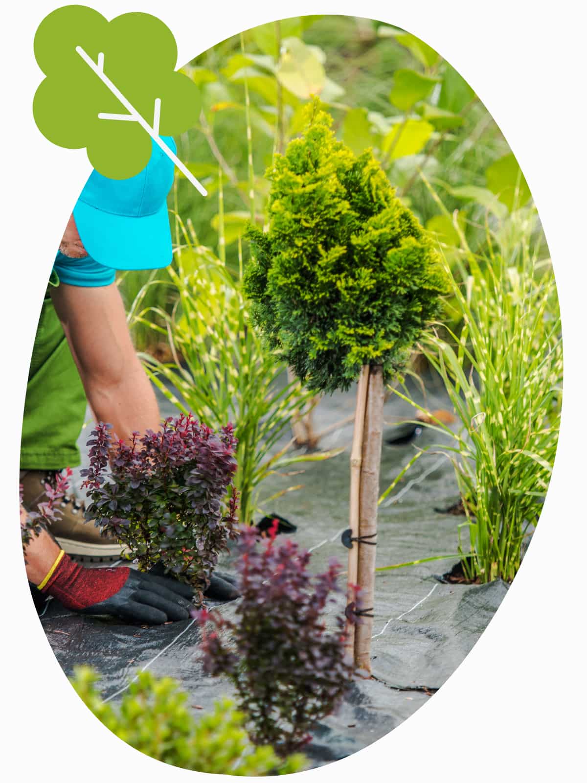 Service à la personne jardinage La Rochelle