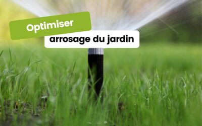 Optimiser l’arrosage du jardin pour économiser l’eau