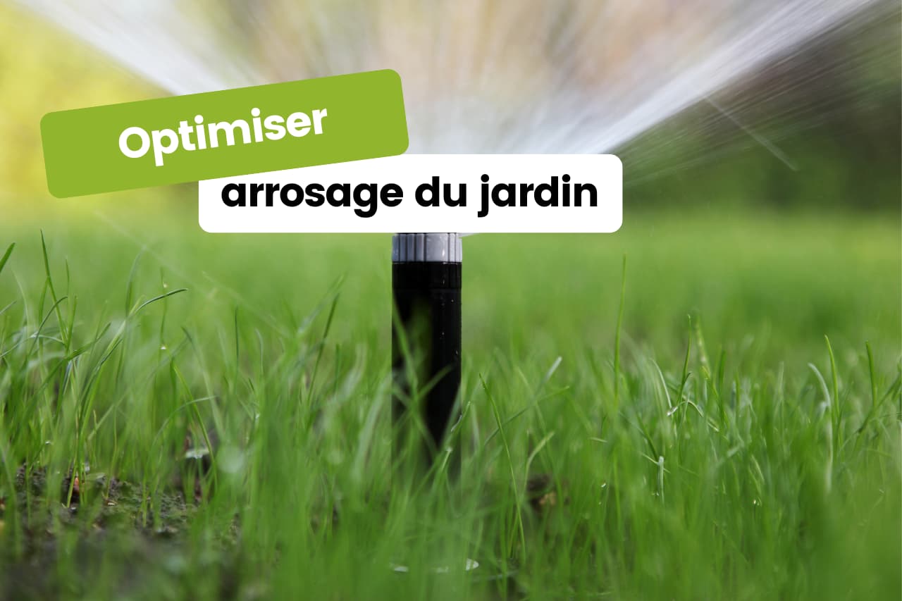 optimiser arrosage du jardin
