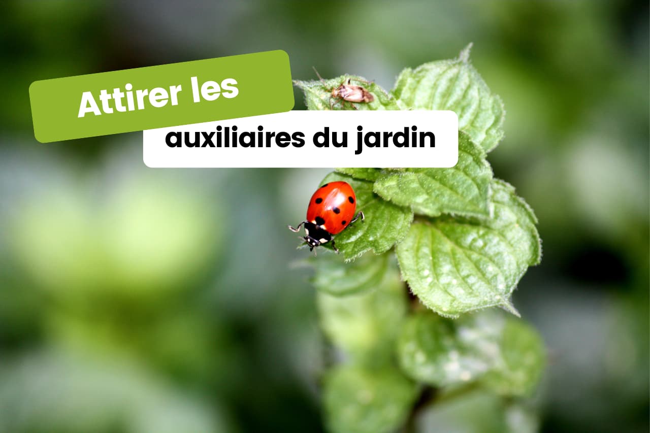 transformer votre jardin avec auxiliaires jardin